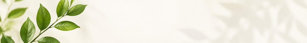 Elección consciente con ReBoxLab