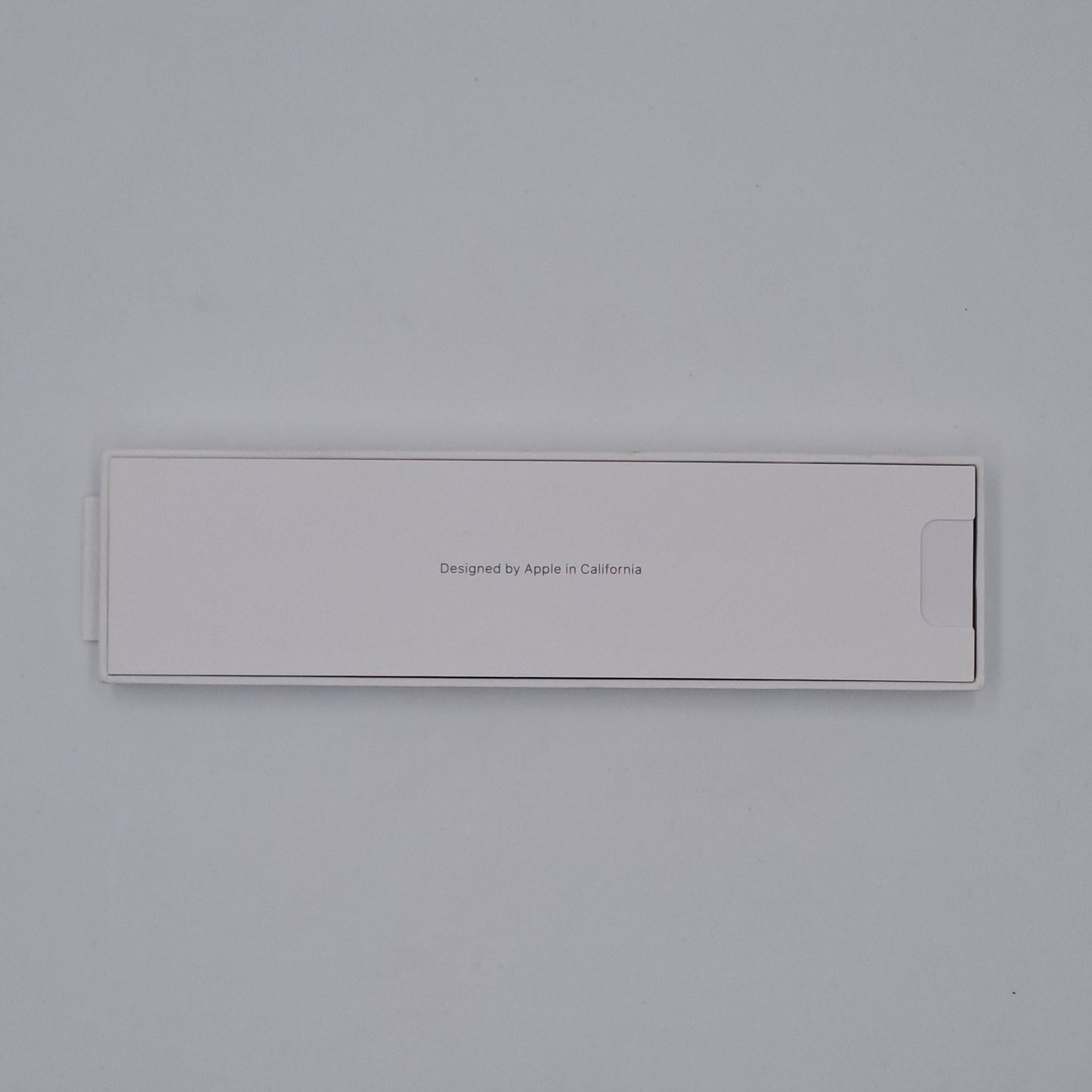 Apple Pencil (USB-C)